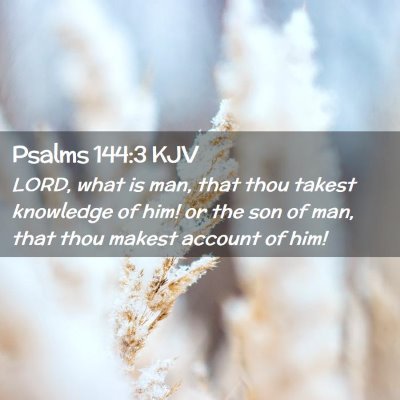 Picture 02 - Psalms 144:3 KJV - LORD, what is man, that thou takest knowledge of - Bible Verse Picture