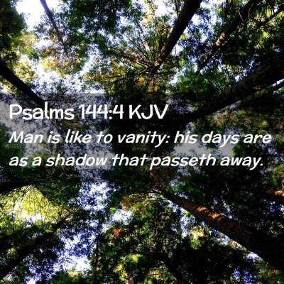 Picture 02 - Psalms 144:4 KJV - Man is like to vanity: his days are as a shadow - Bible Verse Picture