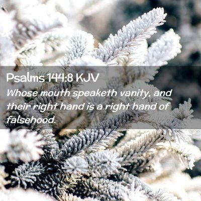 Picture 02 - Psalms 144:8 KJV - Whose mouth speaketh vanity, and their right hand - Bible Verse Picture