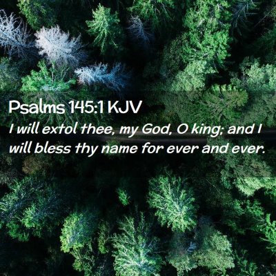 Picture 02 - Psalms 145:1 KJV - I will extol thee, my God, O king; and I will - Bible Verse Picture