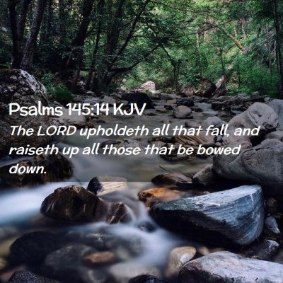 Picture 02 - Psalms 145:14 KJV - The LORD upholdeth all that fall, and raiseth up - Bible Verse Picture