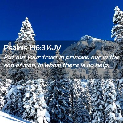Picture 02 - Psalms 146:3 KJV - Put not your trust in princes, nor in the son of - Bible Verse Picture