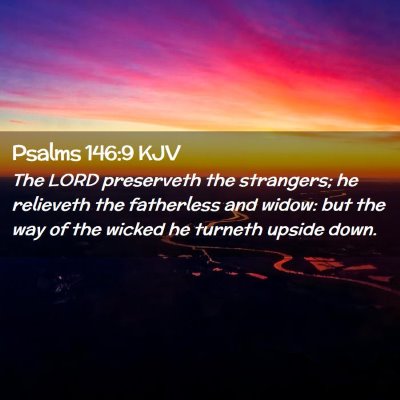 Picture 02 - Psalms 146:9 KJV - The LORD preserveth the strangers; he relieveth - Bible Verse Picture