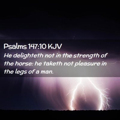 Picture 02 - Psalms 147:10 KJV - He delighteth not in the strength of the horse: - Bible Verse Picture