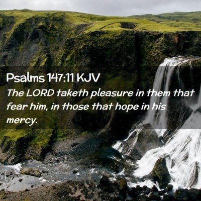 Picture 02 - Psalms 147:11 KJV - The LORD taketh pleasure in them that fear him, - Bible Verse Picture