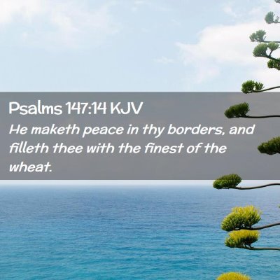 Picture 02 - Psalms 147:14 KJV - He maketh peace in thy borders, and filleth thee - Bible Verse Picture