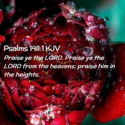 Picture 02 - Psalms 148:1 KJV - Praise ye the LORD. Praise ye the LORD from the - Bible Verse Picture