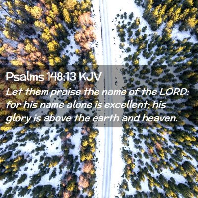 Picture 02 - Psalms 148:13 KJV - Let them praise the name of the LORD: for his - Bible Verse Picture