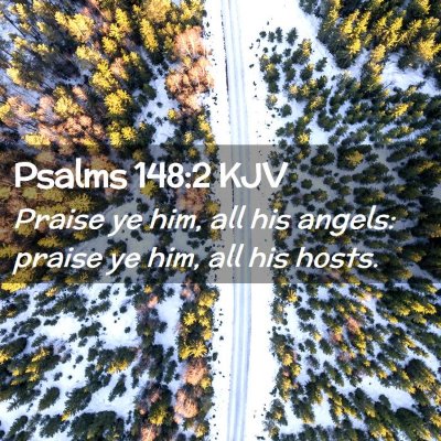 Picture 02 - Psalms 148:2 KJV - Praise ye him, all his angels: praise ye him, all - Bible Verse Picture