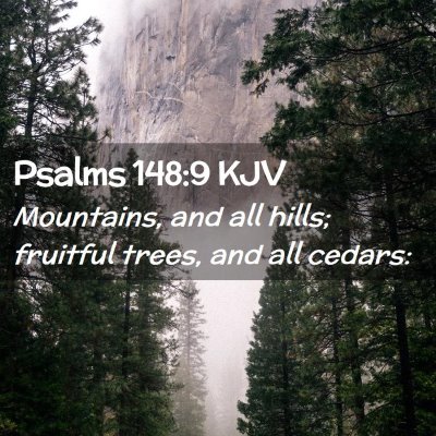 Picture 02 - Psalms 148:9 KJV - Mountains, and all hills; fruitful trees, and all - Bible Verse Picture