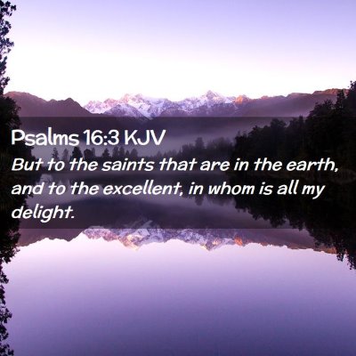 Picture 02 - Psalms 16:3 KJV - But to the saints that are in the earth, and to - Bible Verse Picture