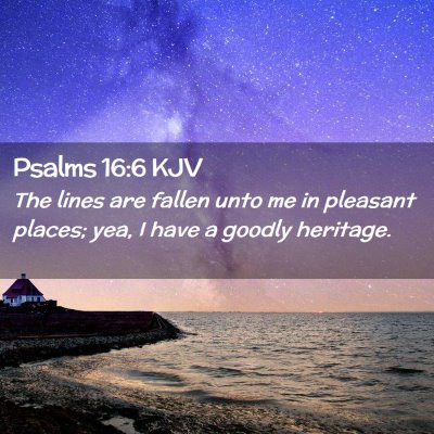 Picture 02 - Psalms 16:6 KJV - The lines are fallen unto me in pleasant places; - Bible Verse Picture