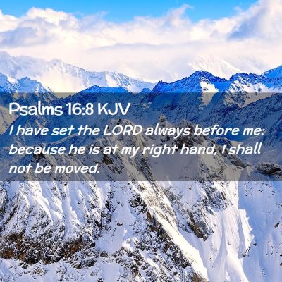 Picture 02 - Psalms 16:8 KJV - I have set the LORD always before me: because he - Bible Verse Picture