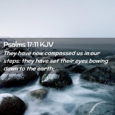 Picture 02 - Psalms 17:11 KJV - They have now compassed us in our steps: they - Bible Verse Picture