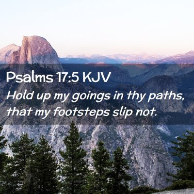 Picture 02 - Psalms 17:5 KJV - Hold up my goings in thy paths, that my footsteps - Bible Verse Picture