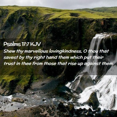 Picture 02 - Psalms 17:7 KJV - Shew thy marvellous lovingkindness, O thou that - Bible Verse Picture