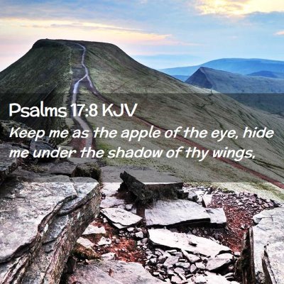 Picture 02 - Psalms 17:8 KJV - Keep me as the apple of the eye, hide me under - Bible Verse Picture