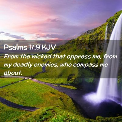 Picture 02 - Psalms 17:9 KJV - From the wicked that oppress me, from my deadly - Bible Verse Picture