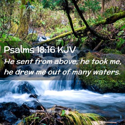 Picture 02 - Psalms 18:16 KJV - He sent from above, he took me, he drew me out of - Bible Verse Picture