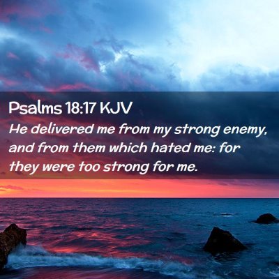 Picture 02 - Psalms 18:17 KJV - He delivered me from my strong enemy, and from - Bible Verse Picture