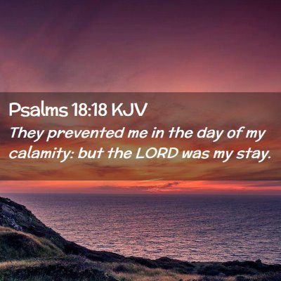 Picture 02 - Psalms 18:18 KJV - They prevented me in the day of my calamity: but - Bible Verse Picture