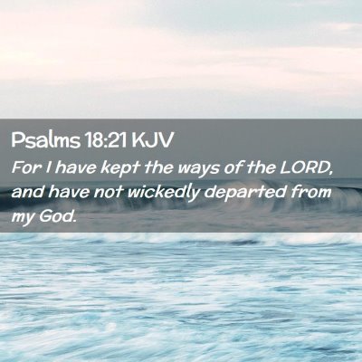 Picture 02 - Psalms 18:21 KJV - For I have kept the ways of the LORD, and have - Bible Verse Picture