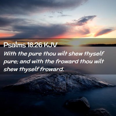 Picture 02 - Psalms 18:26 KJV - With the pure thou wilt shew thyself pure; and - Bible Verse Picture