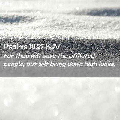 Picture 02 - Psalms 18:27 KJV - For thou wilt save the afflicted people; but wilt - Bible Verse Picture