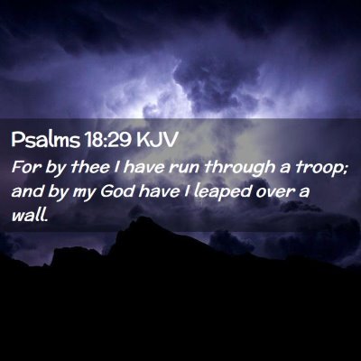Picture 02 - Psalms 18:29 KJV - For by thee I have run through a troop; and by my - Bible Verse Picture
