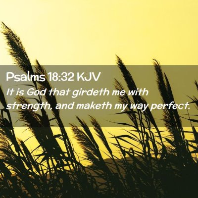 Picture 02 - Psalms 18:32 KJV - It is God that girdeth me with strength, and - Bible Verse Picture