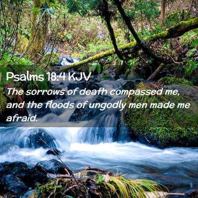 Picture 02 - Psalms 18:4 KJV - The sorrows of death compassed me, and the floods - Bible Verse Picture