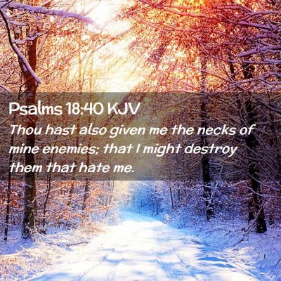 Picture 02 - Psalms 18:40 KJV - Thou hast also given me the necks of mine - Bible Verse Picture