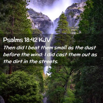 Picture 02 - Psalms 18:42 KJV - Then did I beat them small as the dust before the - Bible Verse Picture