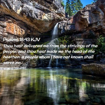 Picture 02 - Psalms 18:43 KJV - Thou hast delivered me from the strivings of the - Bible Verse Picture
