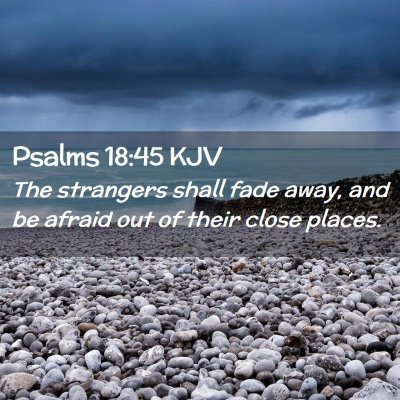 Picture 02 - Psalms 18:45 KJV - The strangers shall fade away, and be afraid out - Bible Verse Picture