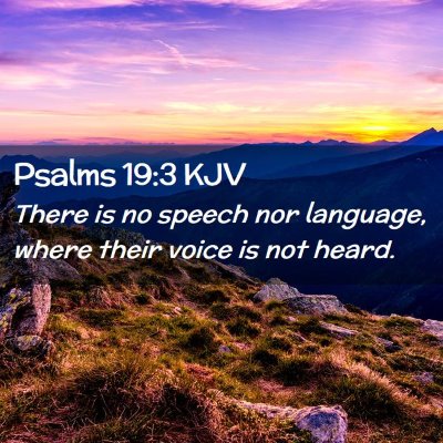 Picture 02 - Psalms 19:3 KJV - There is no speech nor language, where their - Bible Verse Picture