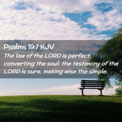 Picture 02 - Psalms 19:7 KJV - The law of the LORD is perfect, converting the - Bible Verse Picture