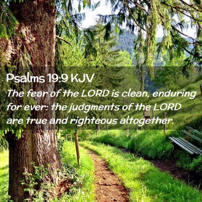 Picture 02 - Psalms 19:9 KJV - The fear of the LORD is clean, enduring for ever: - Bible Verse Picture