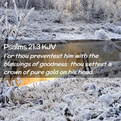 Picture 02 - Psalms 21:3 KJV - For thou preventest him with the blessings of - Bible Verse Picture