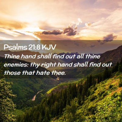Picture 02 - Psalms 21:8 KJV - Thine hand shall find out all thine enemies: thy - Bible Verse Picture