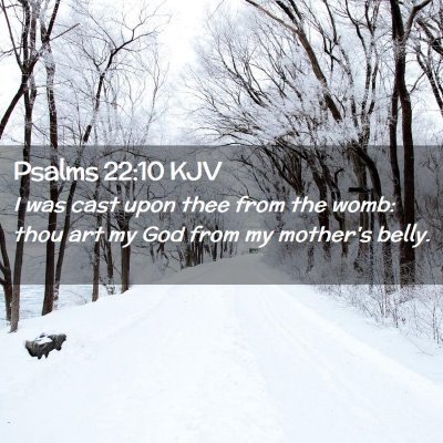 Picture 02 - Psalms 22:10 KJV - I was cast upon thee from the womb: thou art my - Bible Verse Picture