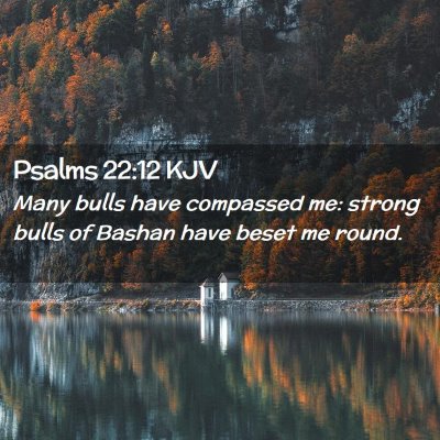 Picture 02 - Psalms 22:12 KJV - Many bulls have compassed me: strong bulls of - Bible Verse Picture