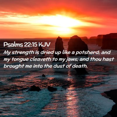 Picture 02 - Psalms 22:15 KJV - My strength is dried up like a potsherd; and my - Bible Verse Picture