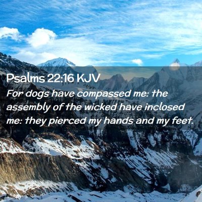 Picture 02 - Psalms 22:16 KJV - For dogs have compassed me: the assembly of the - Bible Verse Picture