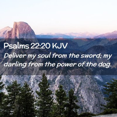 Picture 02 - Psalms 22:20 KJV - Deliver my soul from the sword; my darling from - Bible Verse Picture