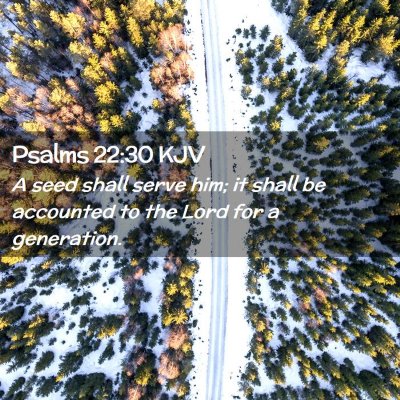 Picture 02 - Psalms 22:30 KJV - A seed shall serve him; it shall be accounted to - Bible Verse Picture