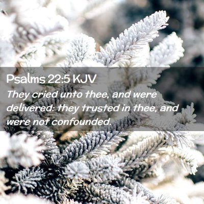 Picture 02 - Psalms 22:5 KJV - They cried unto thee, and were delivered: they - Bible Verse Picture
