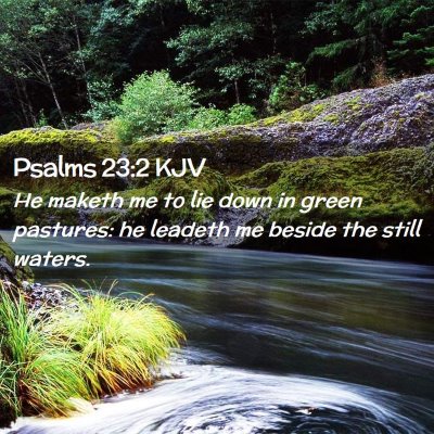 Picture 02 - Psalms 23:2 KJV - He maketh me to lie down in green pastures: he - Bible Verse Picture