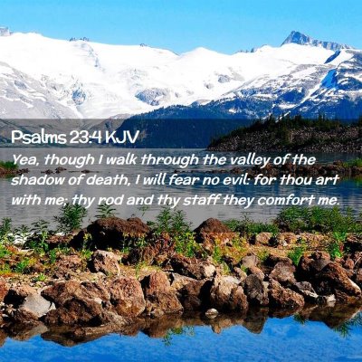 Picture 02 - Psalms 23:4 KJV - Yea, though I walk through the valley of the - Bible Verse Picture