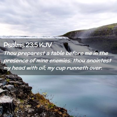 Picture 02 - Psalms 23:5 KJV - Thou preparest a table before me in the presence - Bible Verse Picture